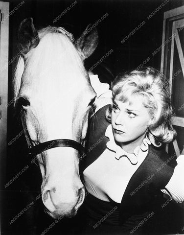 Connie Hines Mr. Ed TV Show 8995-19