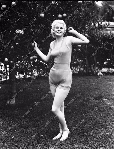 Jean Harlow picks oranges in swimwear 8b03-146