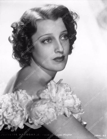 Jeanette MacDonald portrait 8b03-818