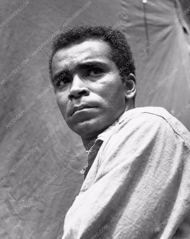 Greg Morris portrait 8b4-025