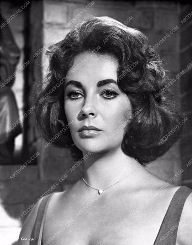 Elizabeth Taylor portrait 8b5-215