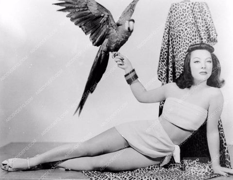 burlesque dancer stripper Yvette Dare and her Parrot 8b6-107