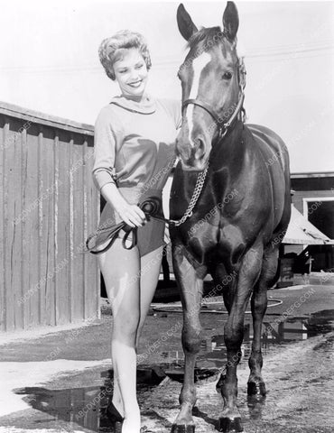 burlesque dancer stripper Diane Olson short shorts high heels bathes horse 8b6-108