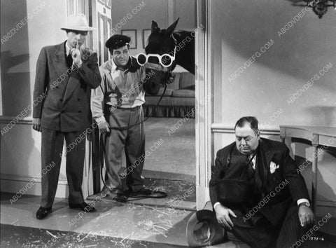 Bud Abbott Lou Costello and horse wearing sunglasses film In Society 9116-03