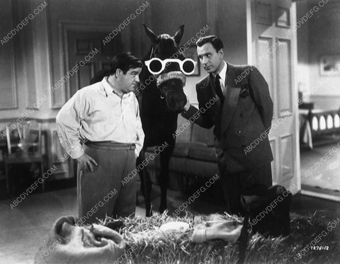 Bud Abbott Lou Costello and horse wearing sunglasses film In Society 9116-04