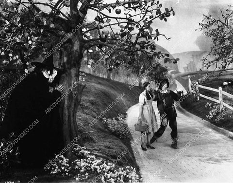 Maragret Hamilton Judy Garland Ray Bolger film The Wizard of Oz 9264-29