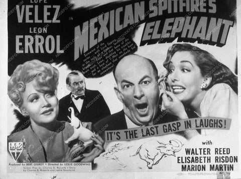 Lupe Velez Walter Reed Marion Martin film Mexican Spitfire's Elephant 9660-22