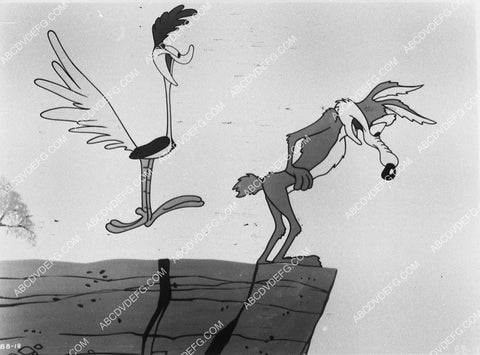 animated characters The Road Runner Wile E Coyote 9890-05
