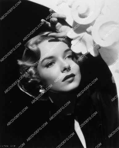 Diana Lynn portrait 9890-18