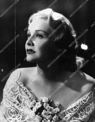 beautiful Madeleine Carroll portrait 9943-21