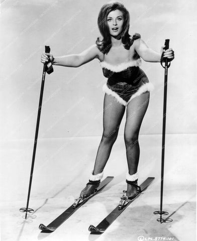 snow bunny cheesecake Linda Rogers fishnets and skiing pinup 8b20-0386