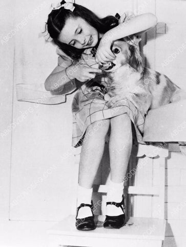 Margaret O'Brien brushing her dogs' teeth 8b20-0425