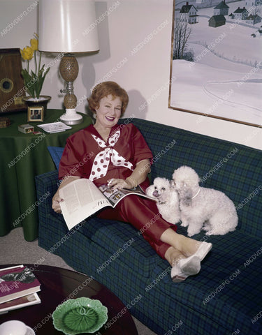 Shirley Booth relaxes on her couch w her dogs 8b20-0583