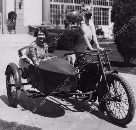 Dorothy Sebastian and Flame the Wonder Dog in motorcycle sidecar 8b20-0699
