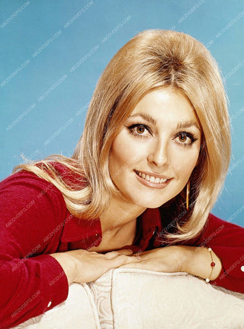 gorgeous Sharon Tate portrait 8b20-0766