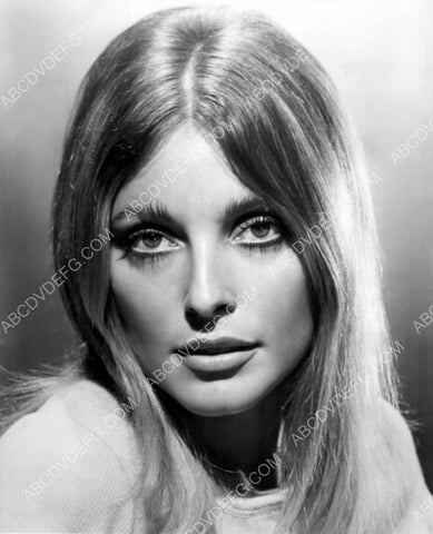 gorgeous Sharon Tate portrait 8b20-0769
