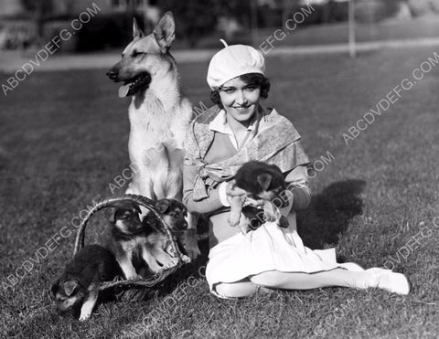 Dorothy Sebastian her dog and her pups 8b20-0911