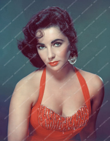 beautiful Elizabeth Taylor portrait 8b20-0978