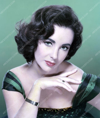 very sexy Elizabeth Taylor portrait 8b20-0993