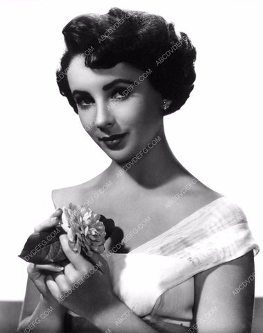 lovely Elizabeth Taylor portrait 8b20-0996