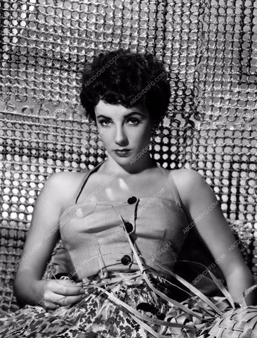 lovely Elizabeth Taylor portrait 8b20-0997