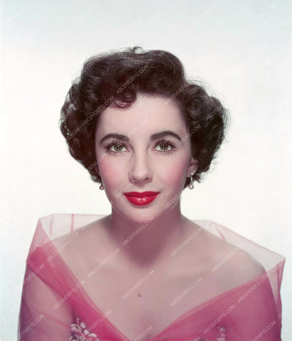 Elizabeth Taylor portrait 8b20-1001