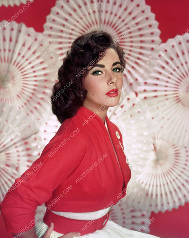 Elizabeth Taylor portrait 8b20-1002