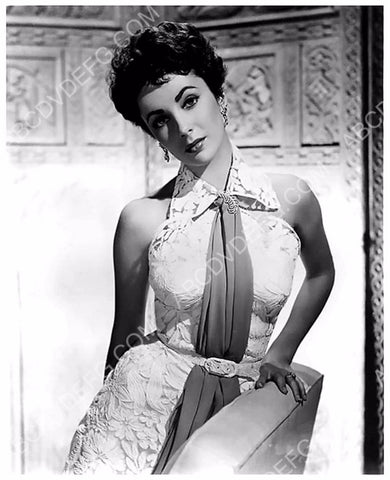 Elizabeth Taylor portrait 8b20-1013