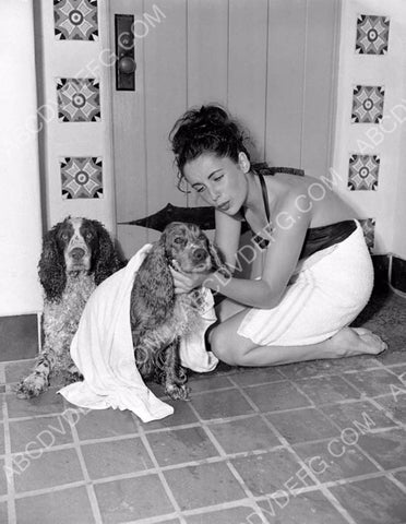 Elizabeth Taylor washes her two dogs 8b20-1014