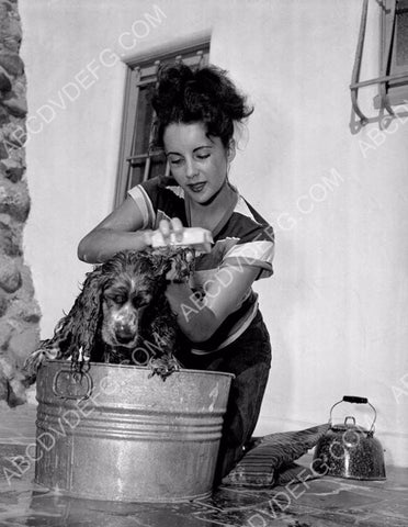 Elizabeth Taylor washes her two dogs 8b20-1015