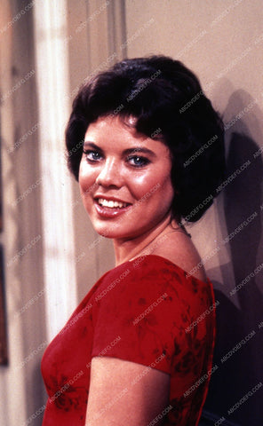 cute Erin Moran portrait TV Happy Days 8b20-10177