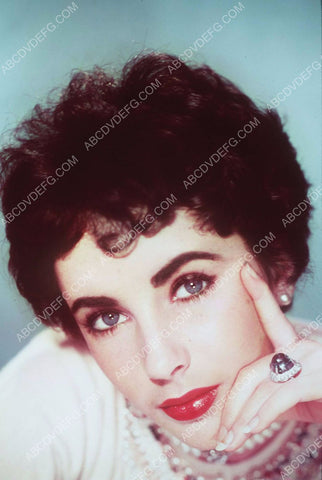 Lovely Elizabeth Taylor portrait 8b20-1026