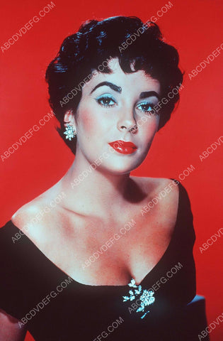 Lovely Elizabeth Taylor portrait 8b20-1027