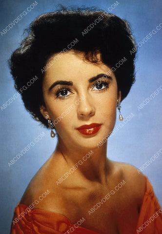 Lovely Elizabeth Taylor portrait 8b20-1029
