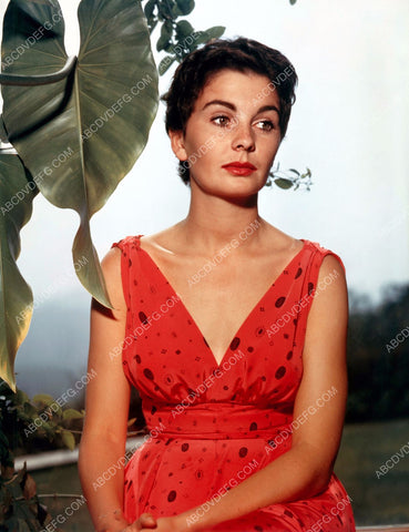 Jean Simmons outdoors portrait 8b20-10415