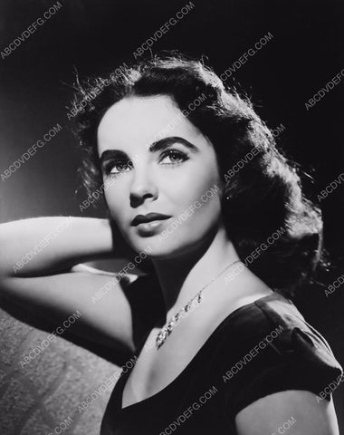 beautiful Elizabeth Taylor portrait 8b20-1043