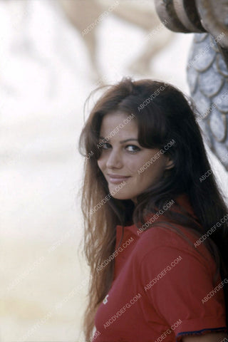 Claudia Cardinale portrait 8b20-10478