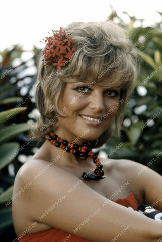 Claudia Cardinale beautiful with flowers in her hair 8b20-10492