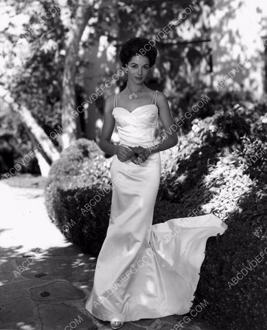 gorgeous Dana Wynter outdoors fashion portrait 8b20-10521