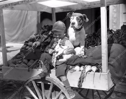 Our Gang Wheezer and Pete feed a rabbit some carrots 8b20-11257