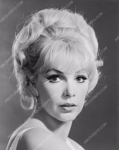 gorgeous Stella Stevens portrait 8b20-11838