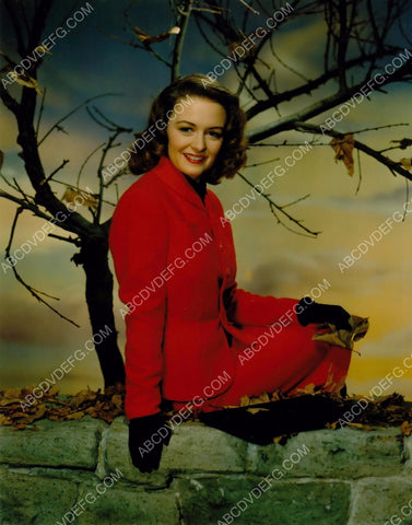 beautiful Donna Reed portrait 8b20-11898