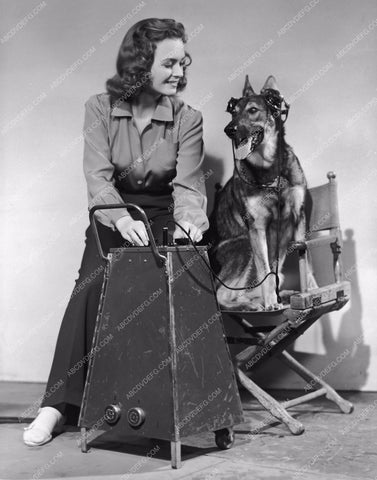 Donna Reed tests the hearing of German Shepherd dog 8b20-11924