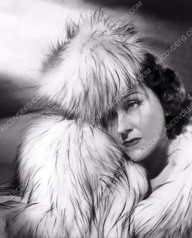 Gloria Swanson very elegant fashion portrait 8b20-12324
