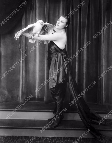 Gloria Swanson with a parrot 8b20-12393