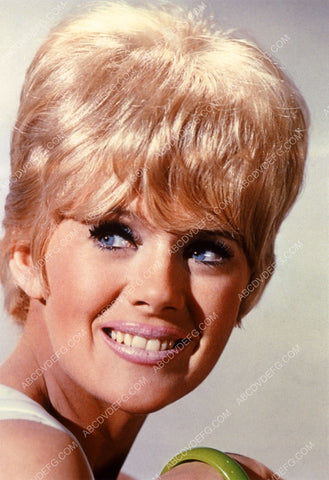 Connie Stevens portrait 8b20-12450
