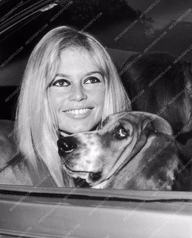 animal lover Brigitte Bardot and her dog go for a car ride 8b20-12795