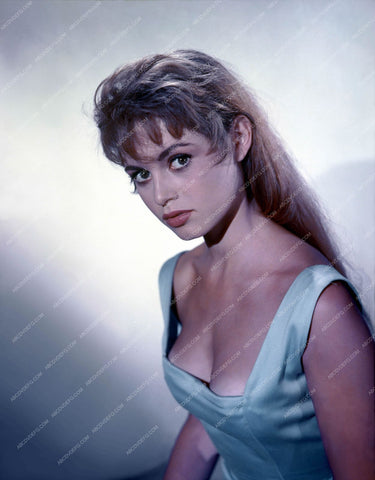 beautiful Brigitte Bardot portrait 8b20-12812