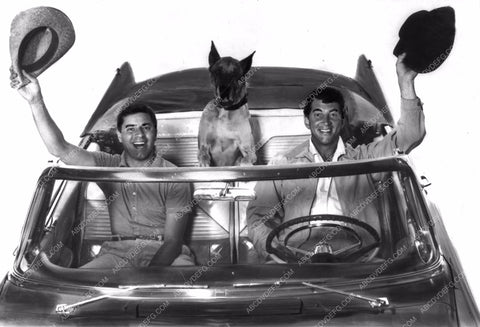 Jerry Lewis Dean Martin and dog in convertible film Pardners 8b20-12851