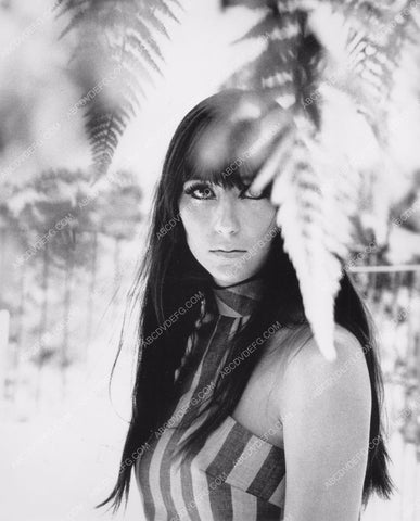 Cher out in the garden pic 8b20-12992